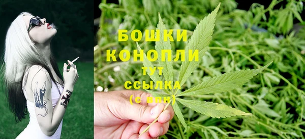 молекула духа Мегион