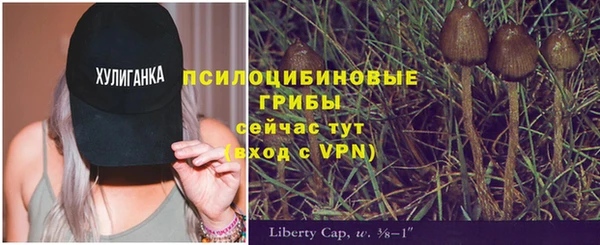 марихуана Медвежьегорск