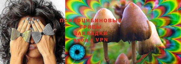 эйфоретик Медногорск