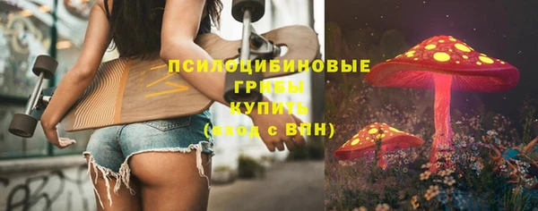 молекула духа Мегион