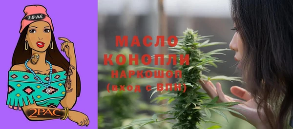 молекула духа Мегион