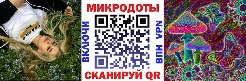 где купить наркоту Сурск omg ссылка Псилоцибиновые грибы GOLDEN TEACHER